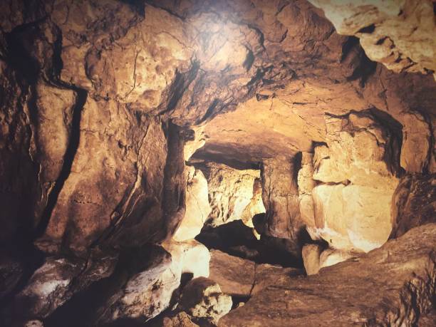 grotte altamira